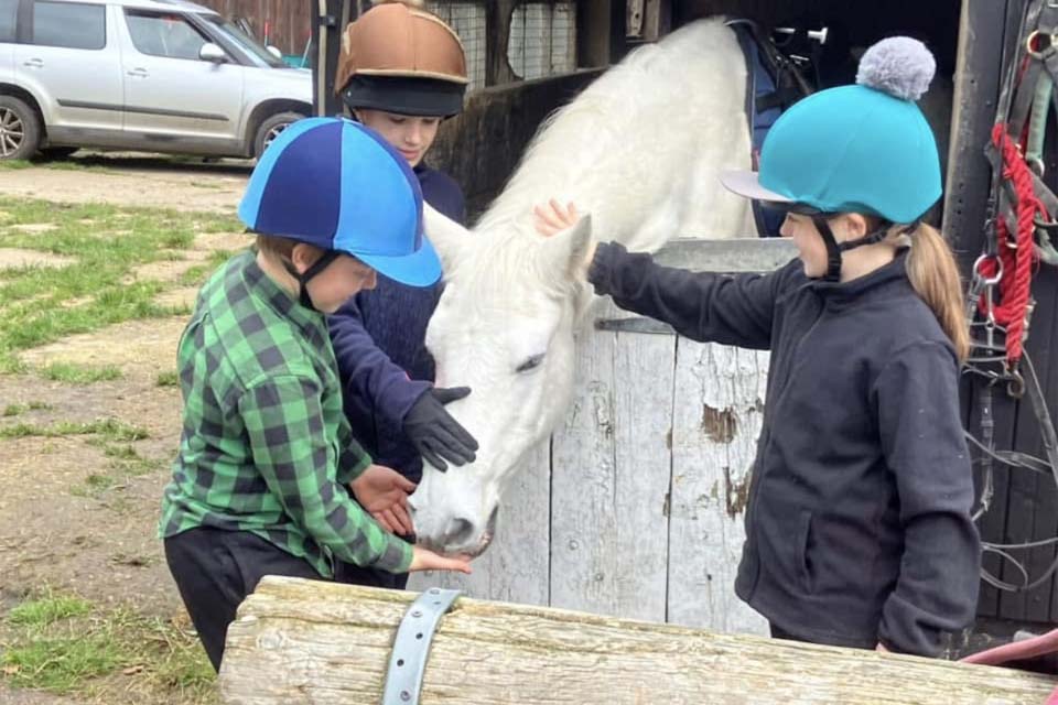 Pony Birthday Parties Wokingham Berkshire
